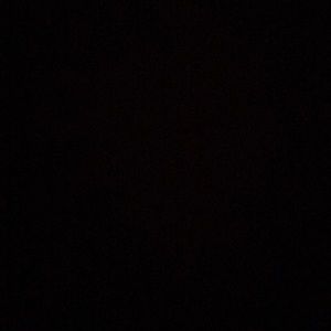 Meet your Posher, Lilly